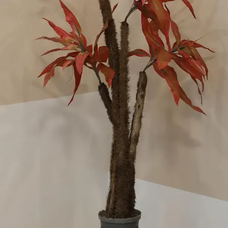 דירה Natali בלגרד